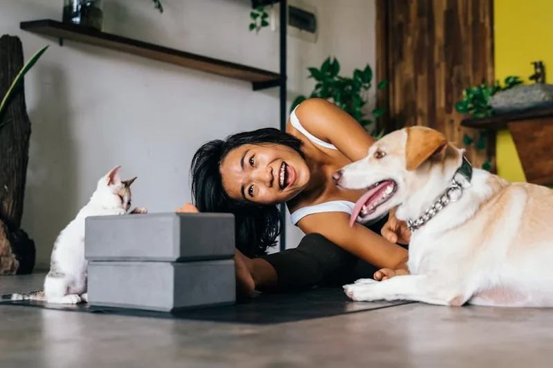 고양이 알러지 있는데 강아지는 괜찮을까요?