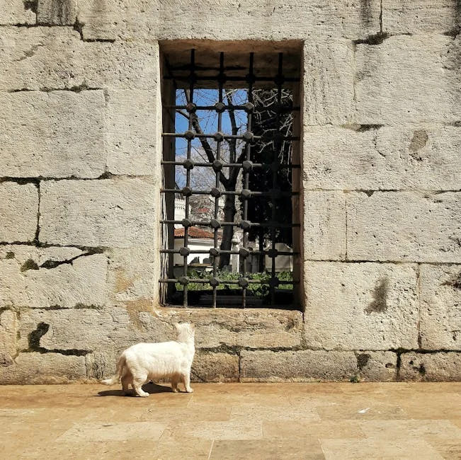 알러지 비염과 천식 차이 한눈에 정리