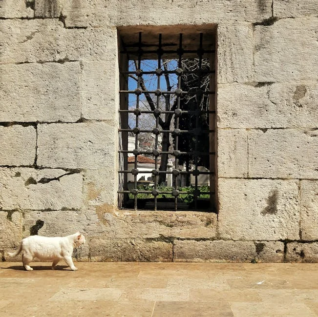 알러지 비염과 천식 차이 한눈에 정리