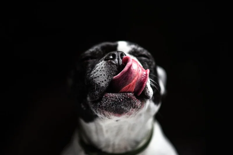 알레르기 비염 증상, 콧물이 심할 때 어떻게 해야 하나요?